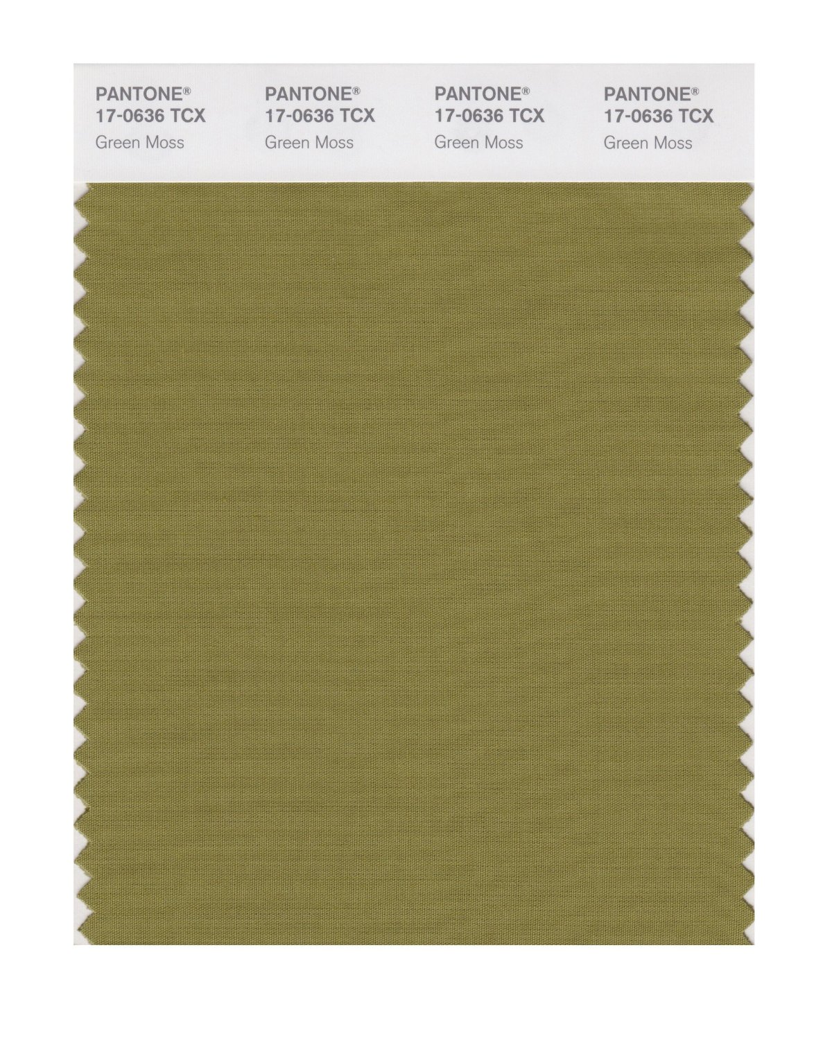 Pantone Cotton Swatch 17-0636 Green Moss