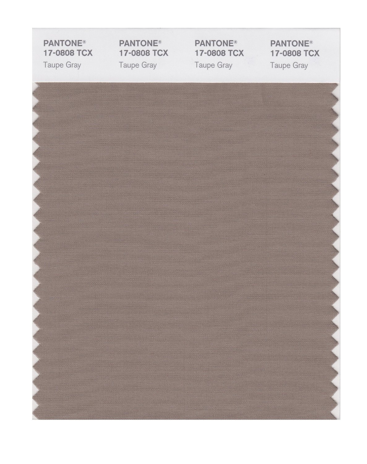 Pantone Cotton Swatch 17-0808 Taupe Gray