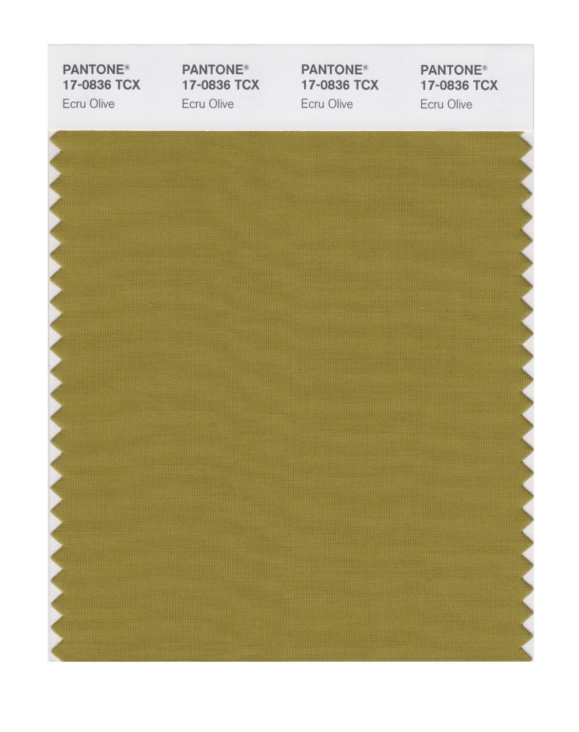 Pantone Cotton Swatch 17-0836 Ecru Olive