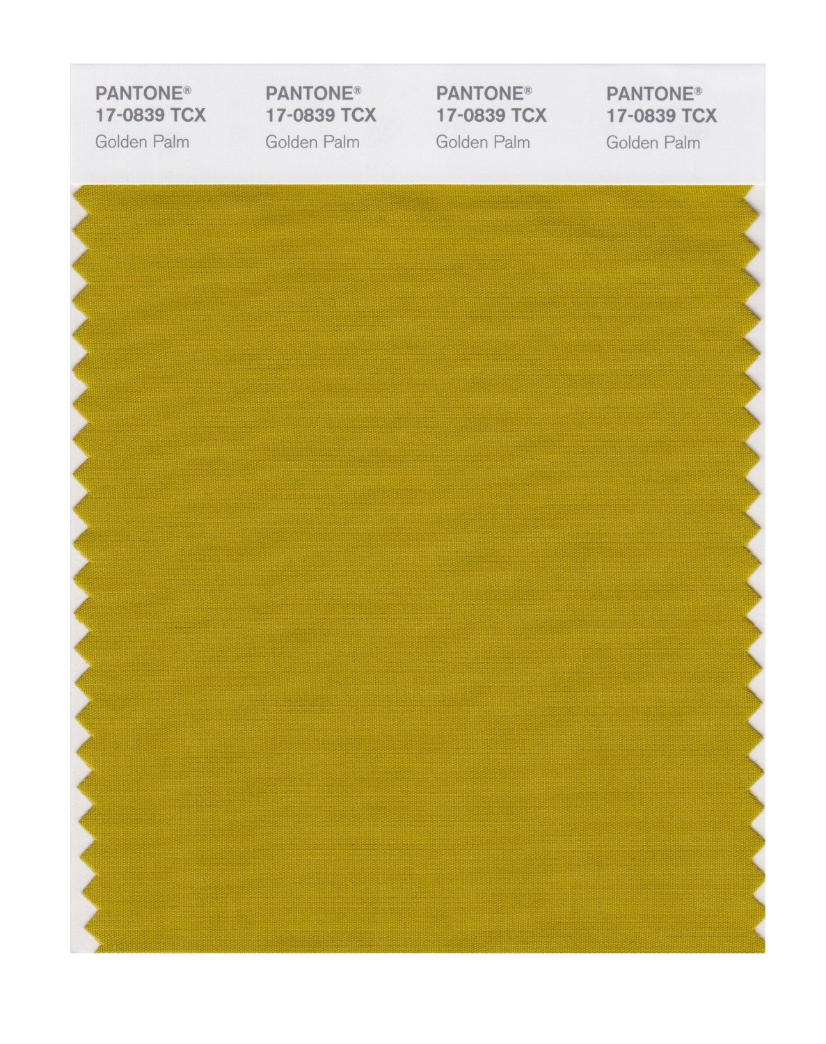 Pantone Cotton Swatch 17-0839 Golden Palm