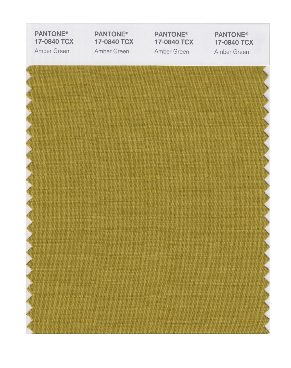 Pantone Cotton Swatch 17-0840 Amber Green