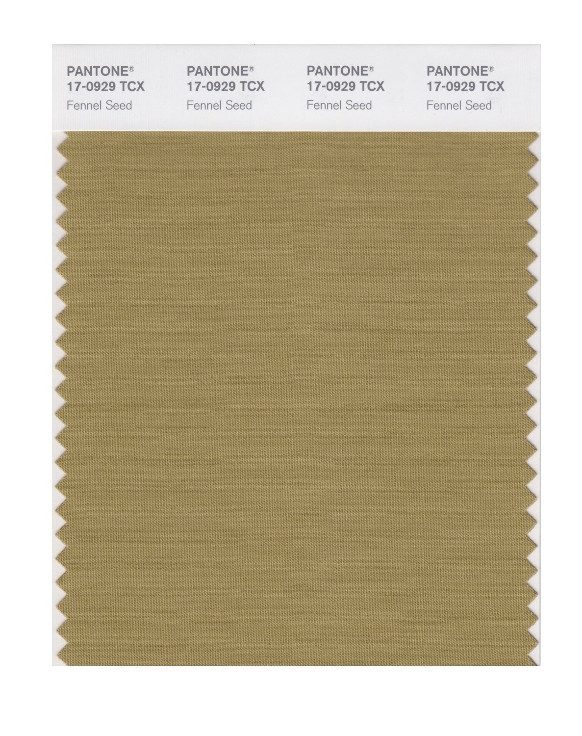 Pantone Cotton Swatch 17-0929 Fennel Seed