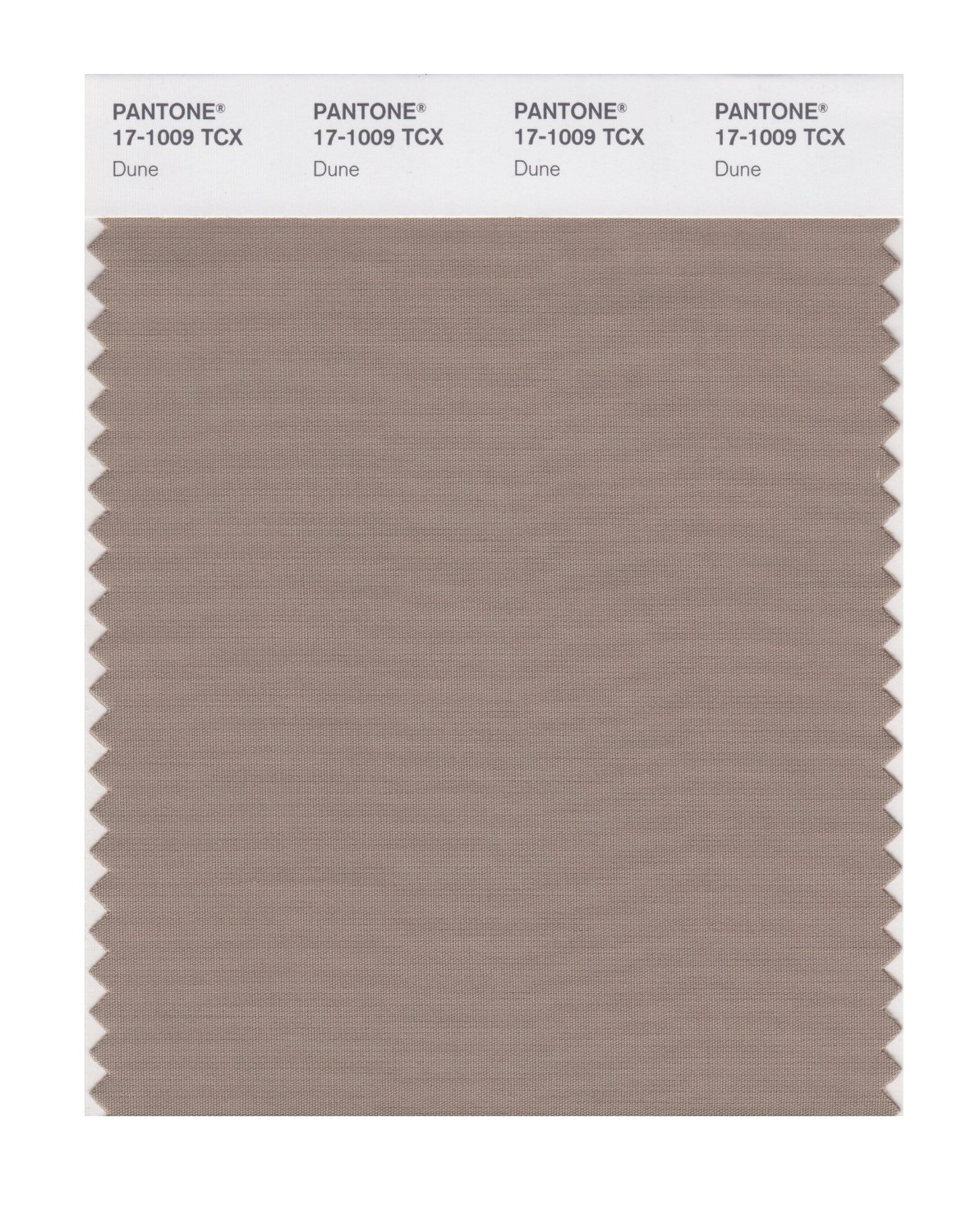 Pantone Cotton Swatch 17-1009 Dune