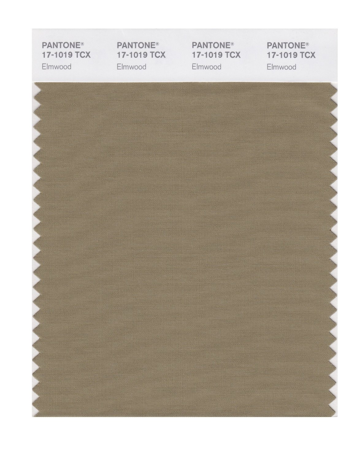 Pantone Cotton Swatch 17-1019 Elmwood