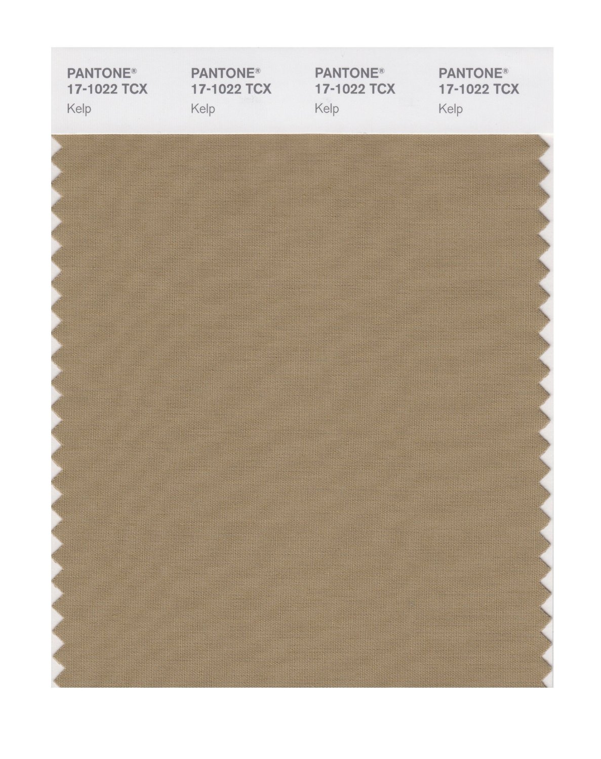 Pantone Cotton Swatch 17-1022 Kelp