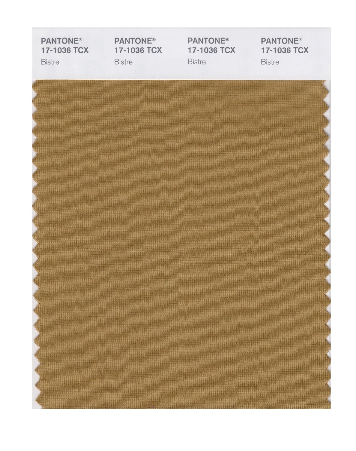 Pantone Cotton Swatch 17-1036 Bistre