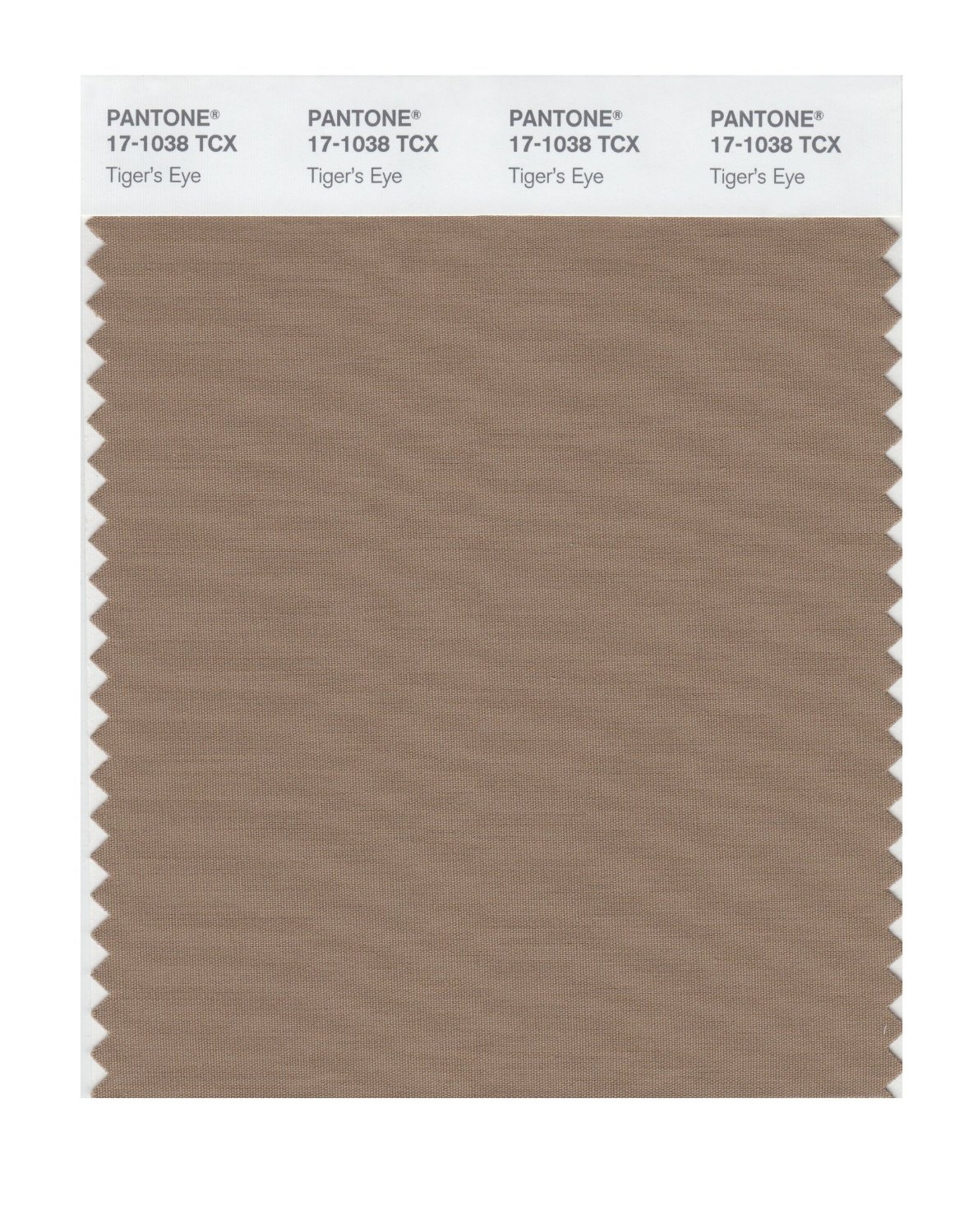 Pantone Cotton Swatch 17-1038 Tiger's Eye