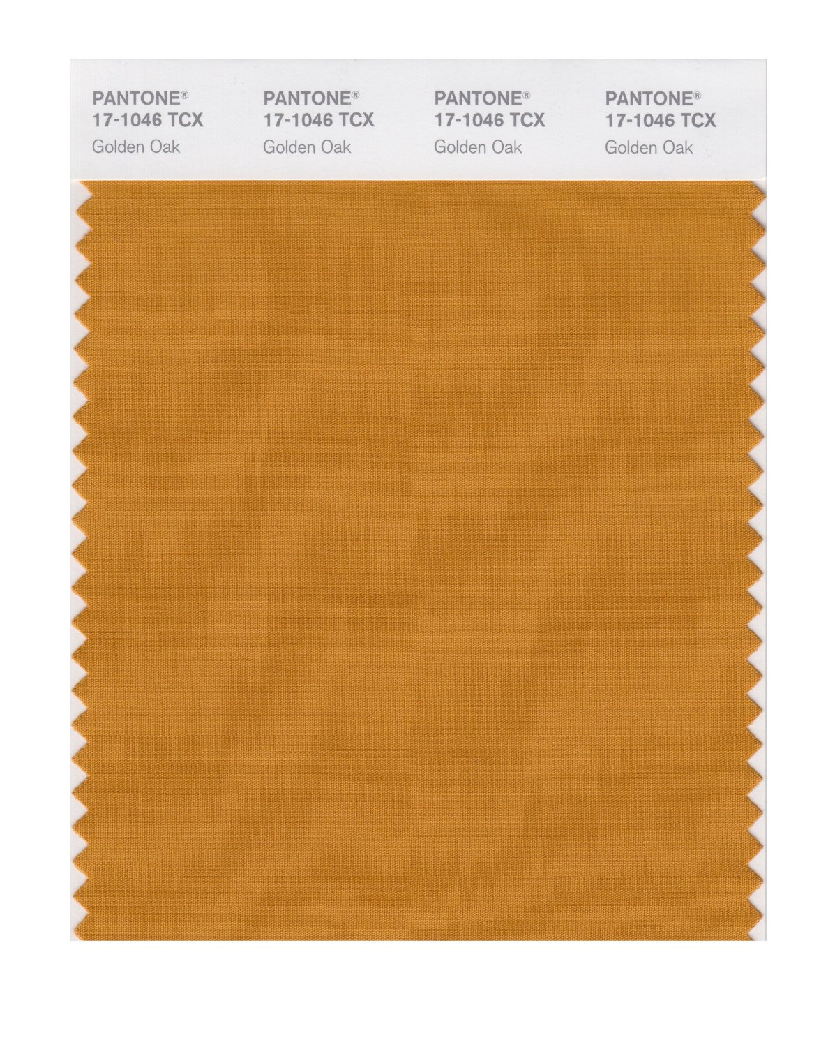 Pantone Cotton Swatch 17-1046 Golden Oak