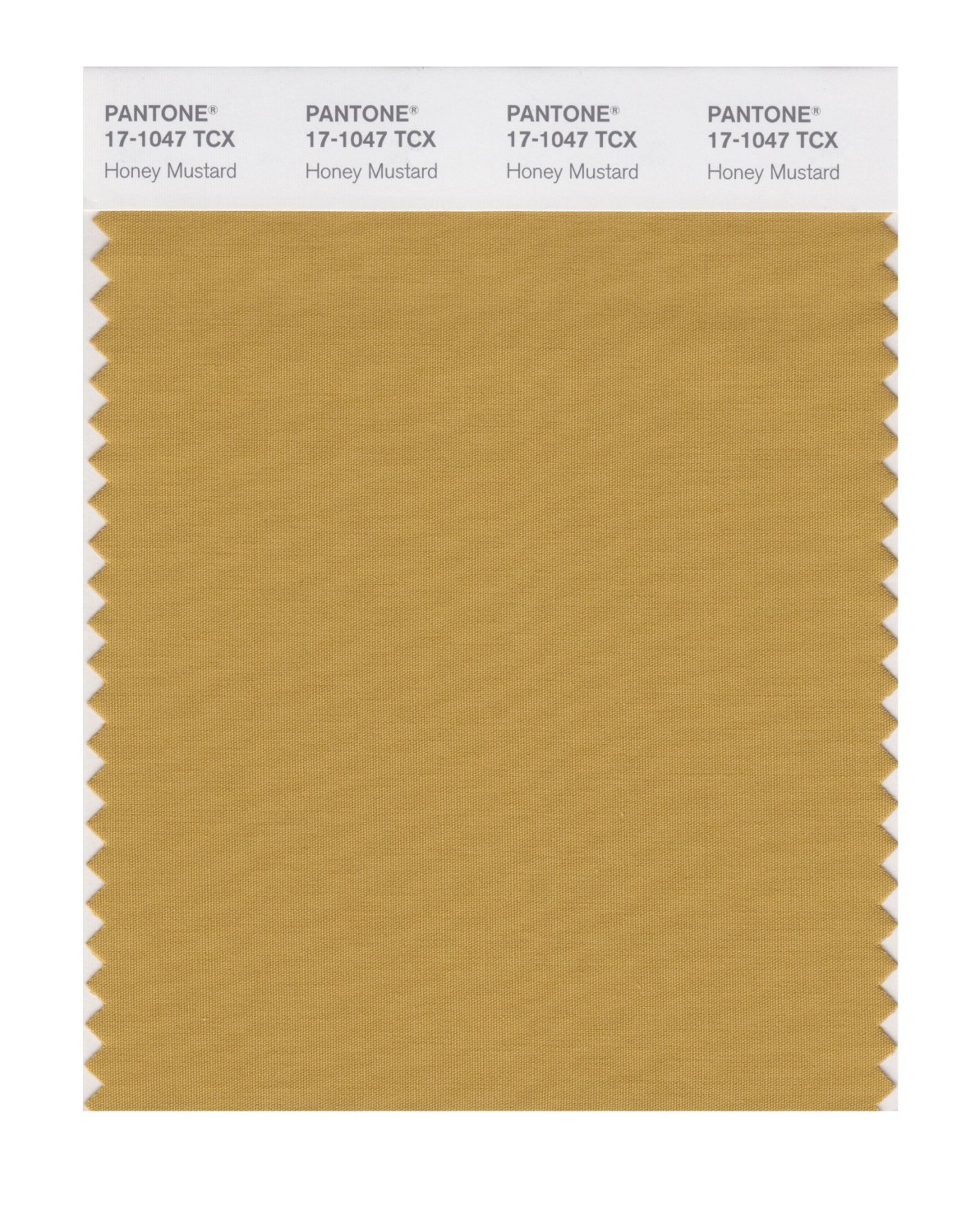 Pantone Cotton Swatch 17-1047 Honey Mustard