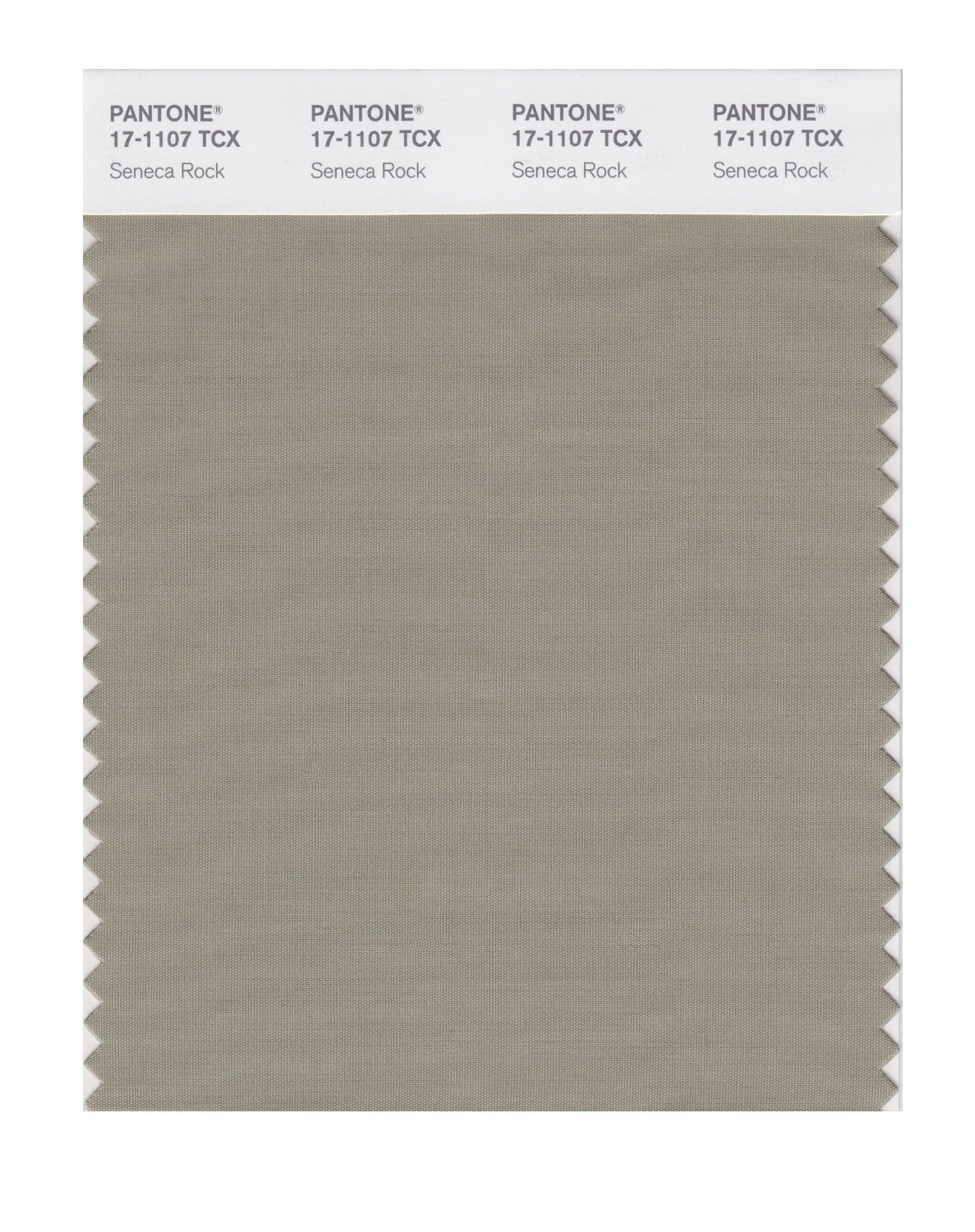 Pantone Cotton Swatch 17-1107 Seneca Rock