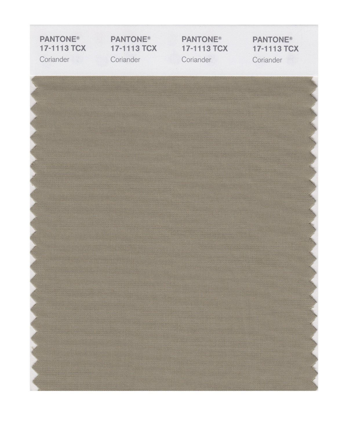 Pantone Cotton Swatch 17-1113 Coriander