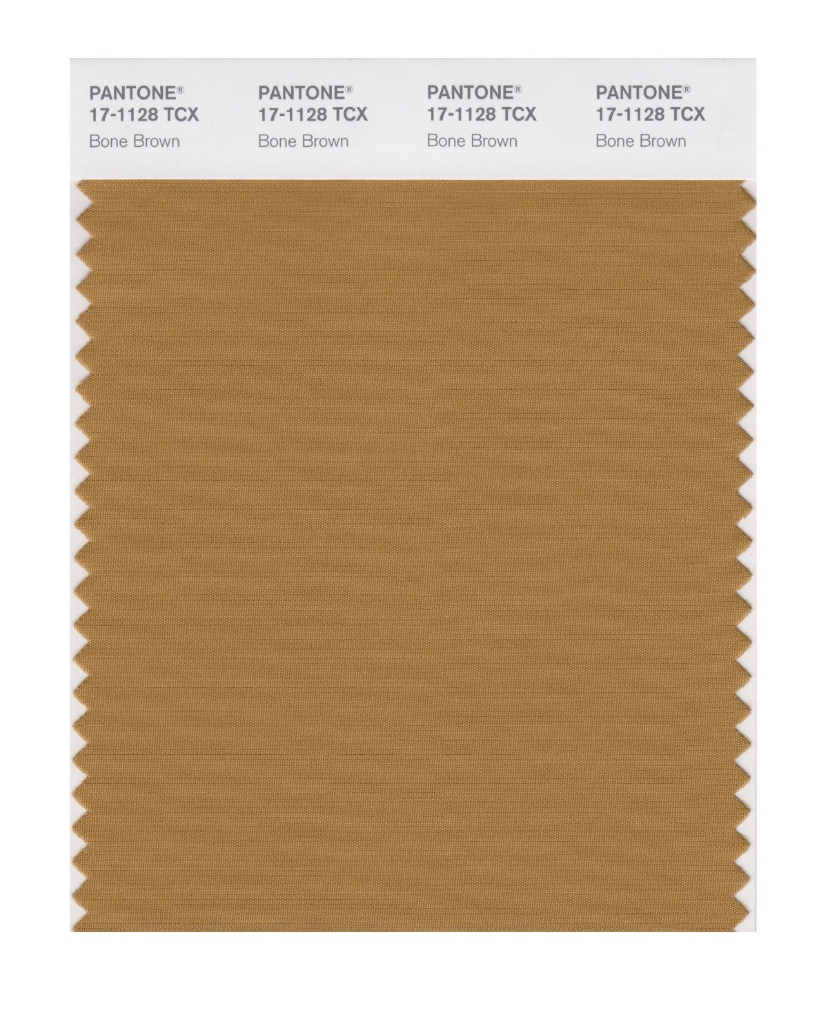 Pantone Cotton Swatch 17-1128 Bone Brown