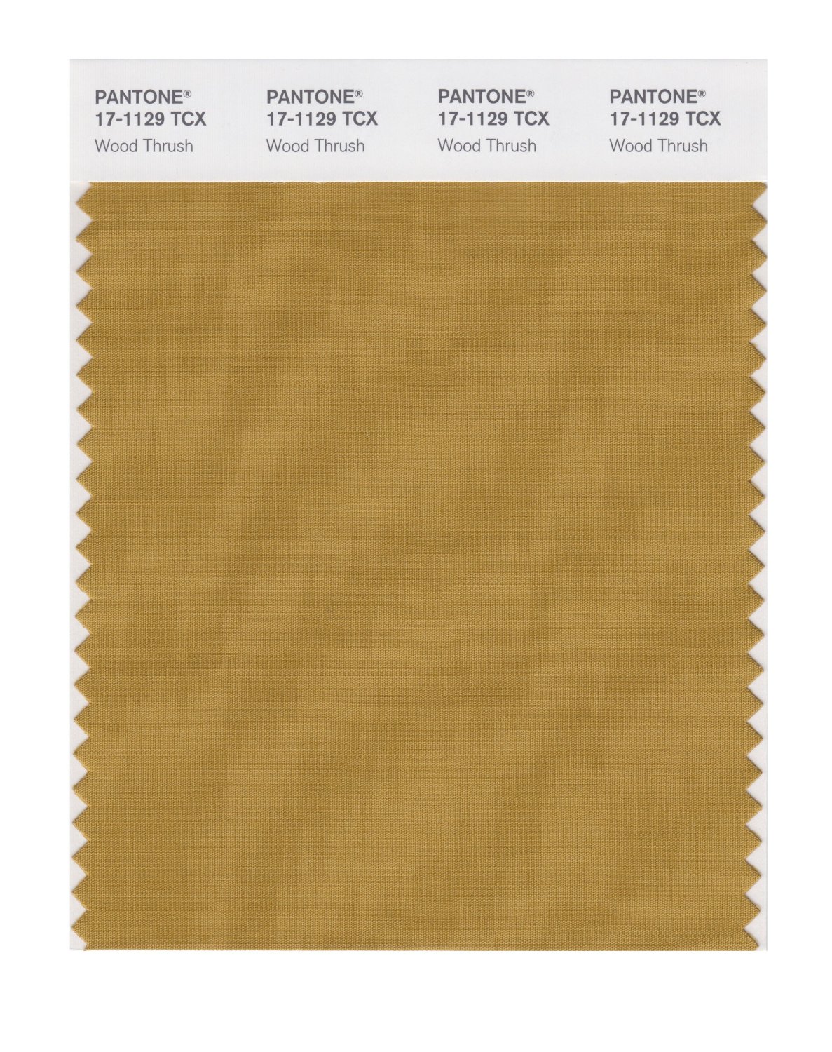 Pantone Cotton Swatch 17-1129 Wood Thrush