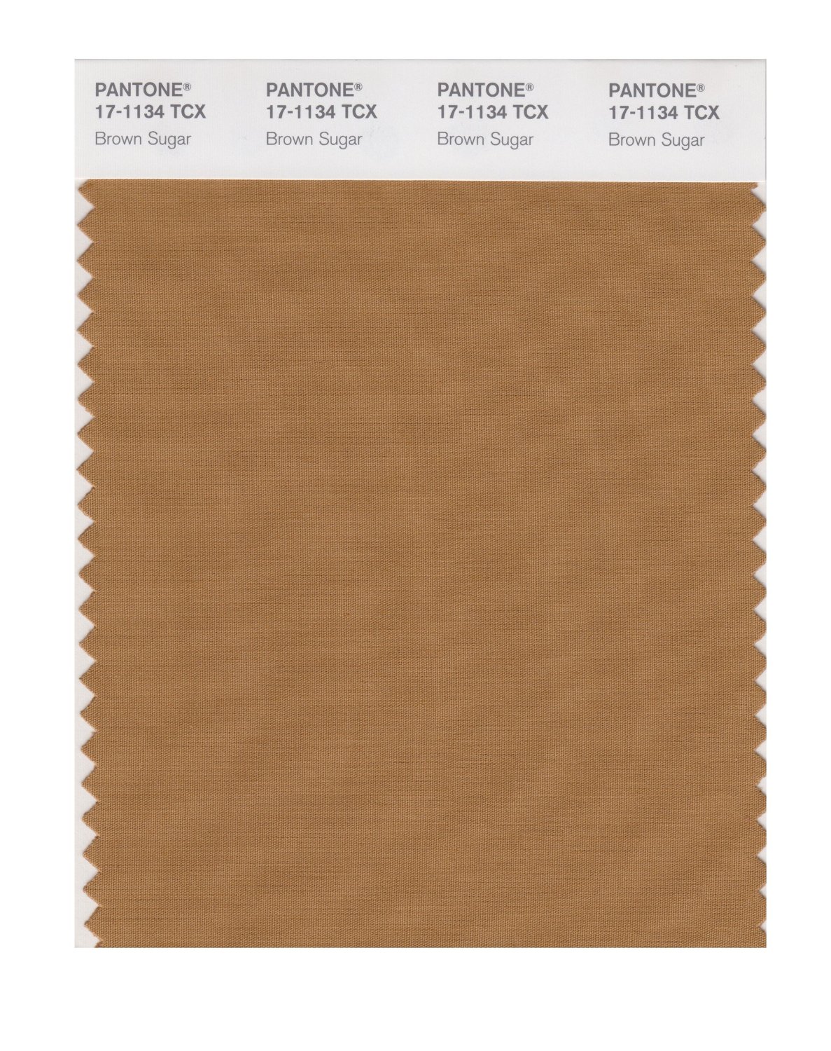 Pantone Cotton Swatch 17-1134 Brown Sugar