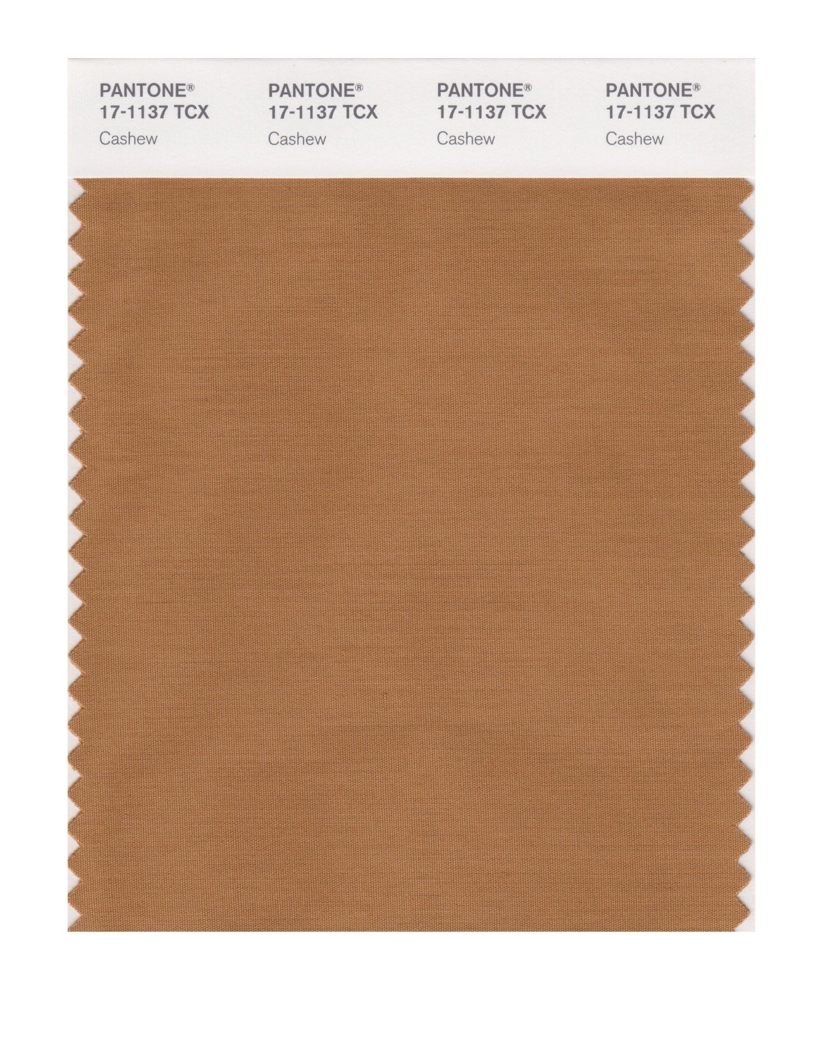 Pantone Cotton Swatch 17-1137 Cashew