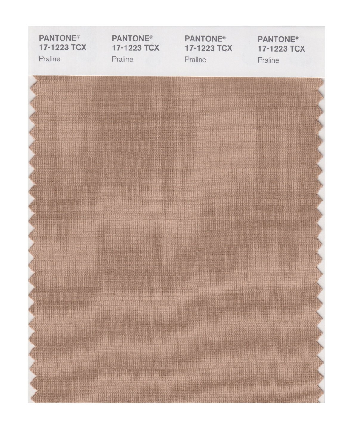 Pantone Cotton Swatch 17-1223 Praline