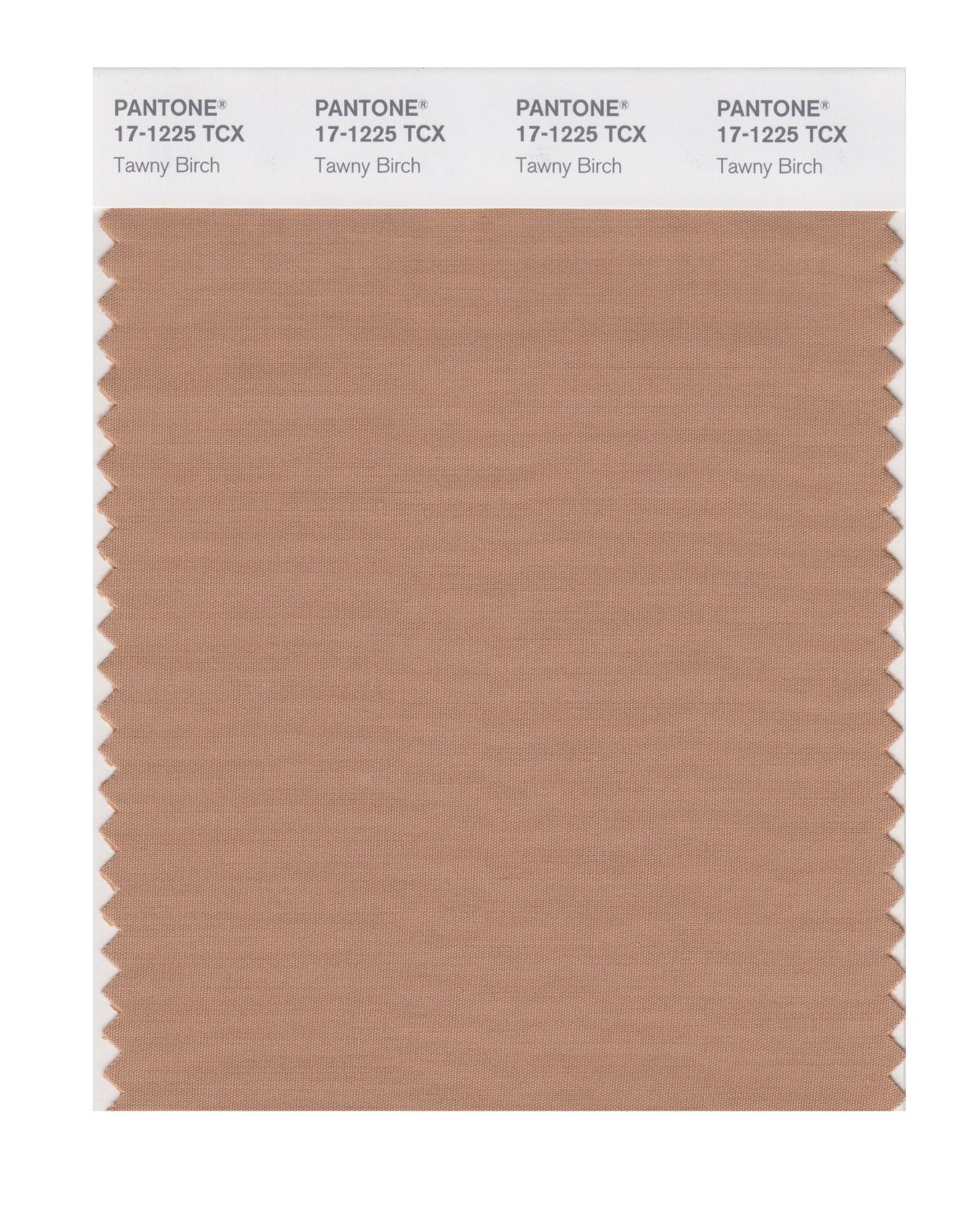 Pantone Cotton Swatch 17-1225 Tawny Birch