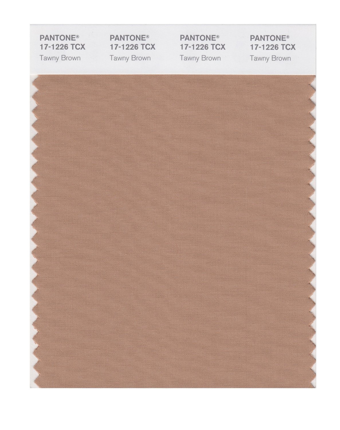 Pantone Cotton Swatch 17-1226 Tawny Brown