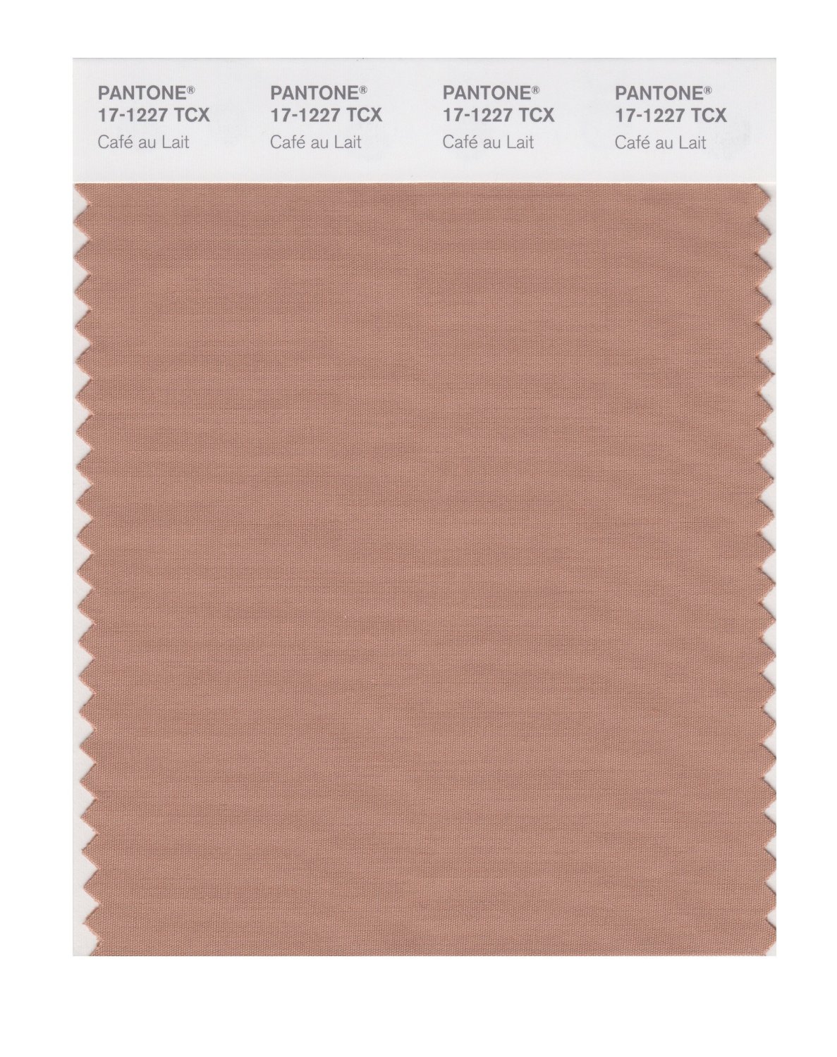 Pantone Cotton Swatch 17-1227 Cafe Au Lait