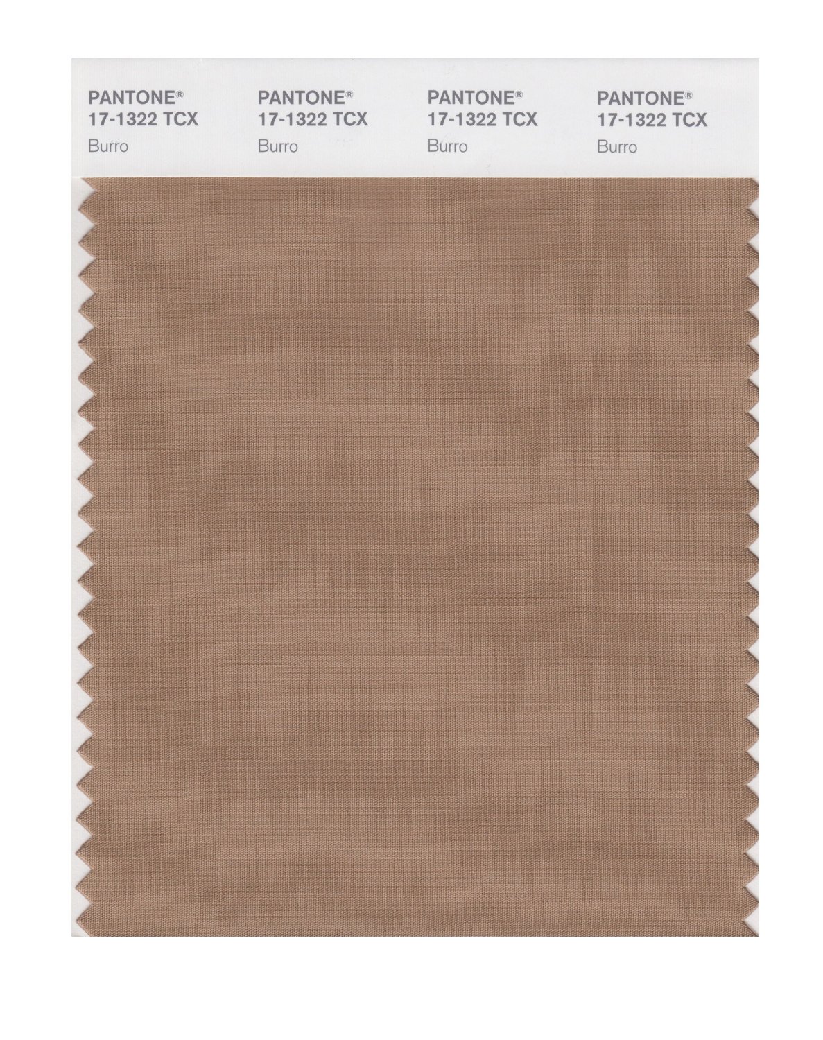 Pantone Cotton Swatch 17-1322 Burro