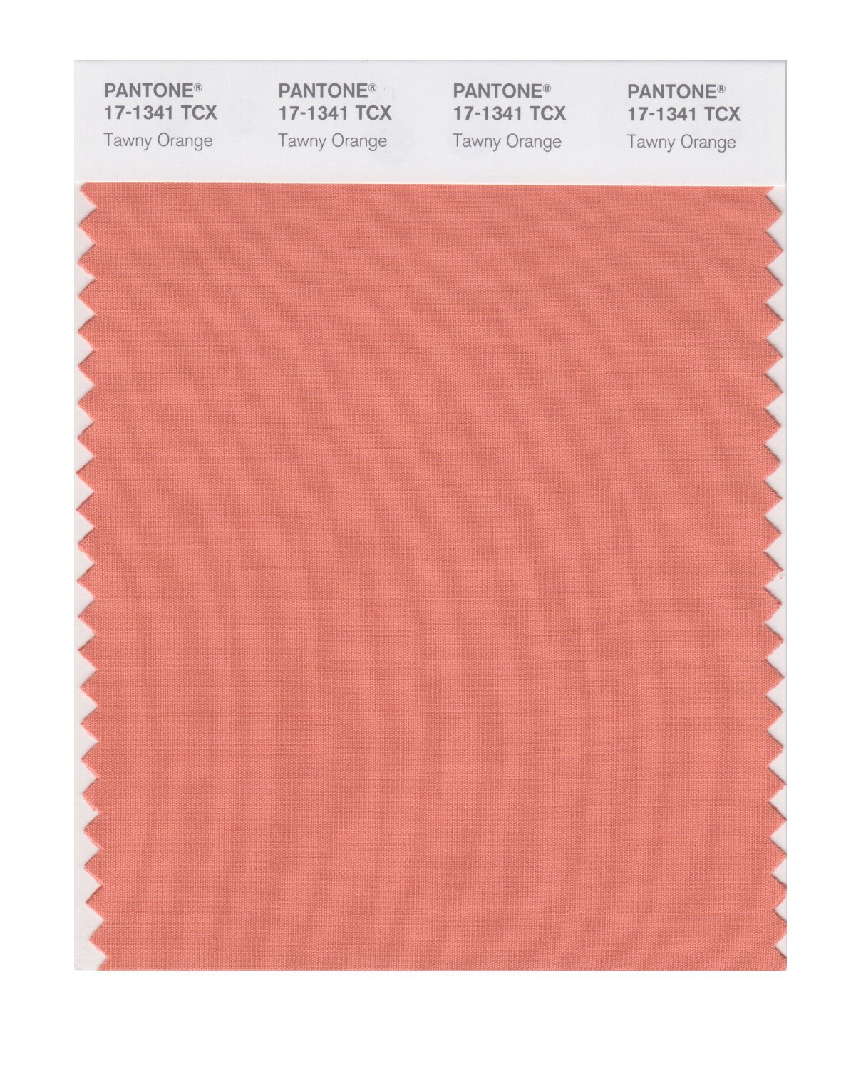 Pantone Cotton Swatch 17-1341 Tawny Orange