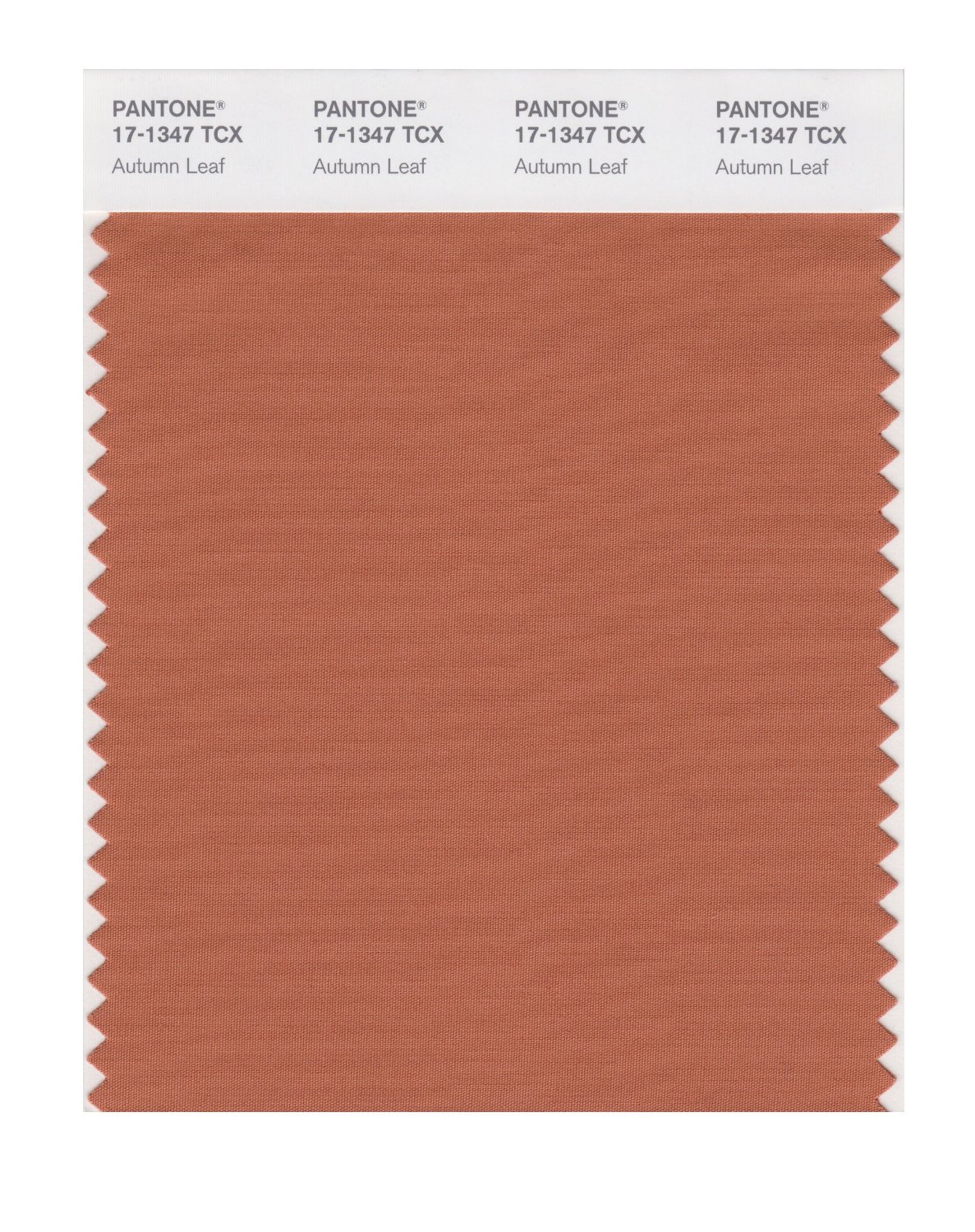 Pantone Cotton Swatch 17-1347 Autumn Leaf