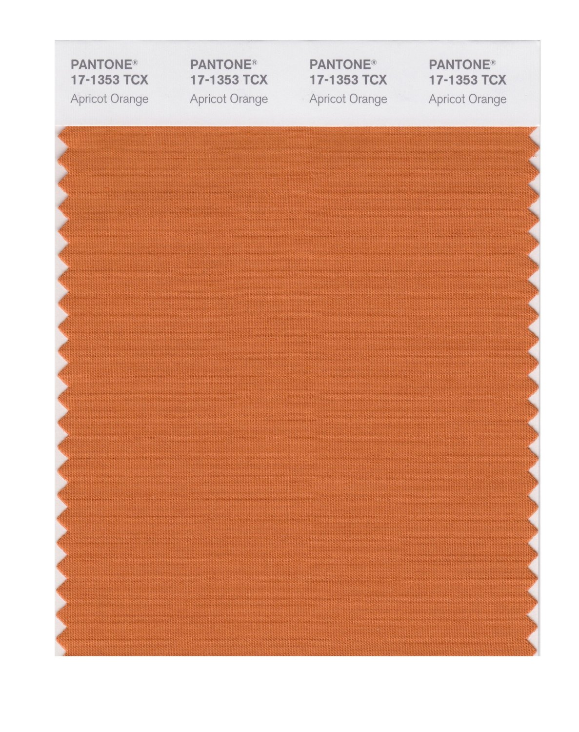 Pantone Cotton Swatch 17-1353 Apricot Orange