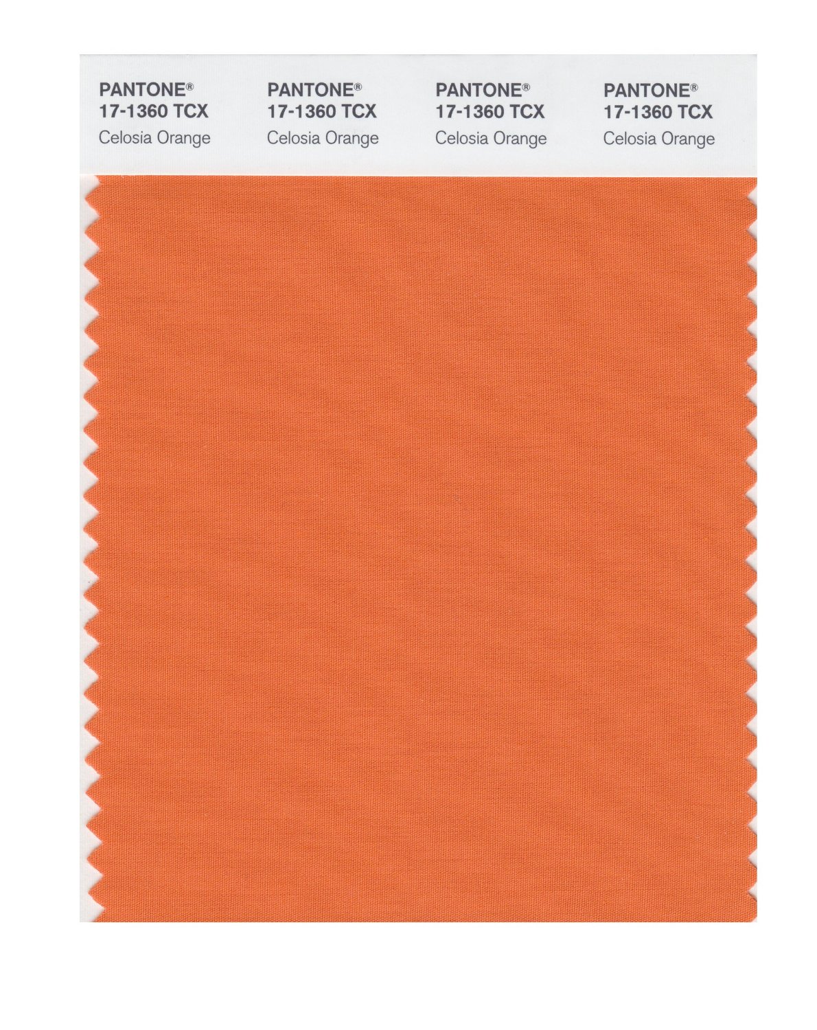 Pantone Cotton Swatch 17-1360 Celosia Orange