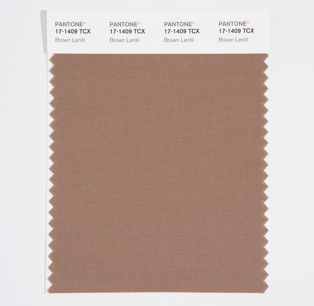 Pantone Cotton Swatch 17-1409 Brown Lentil
