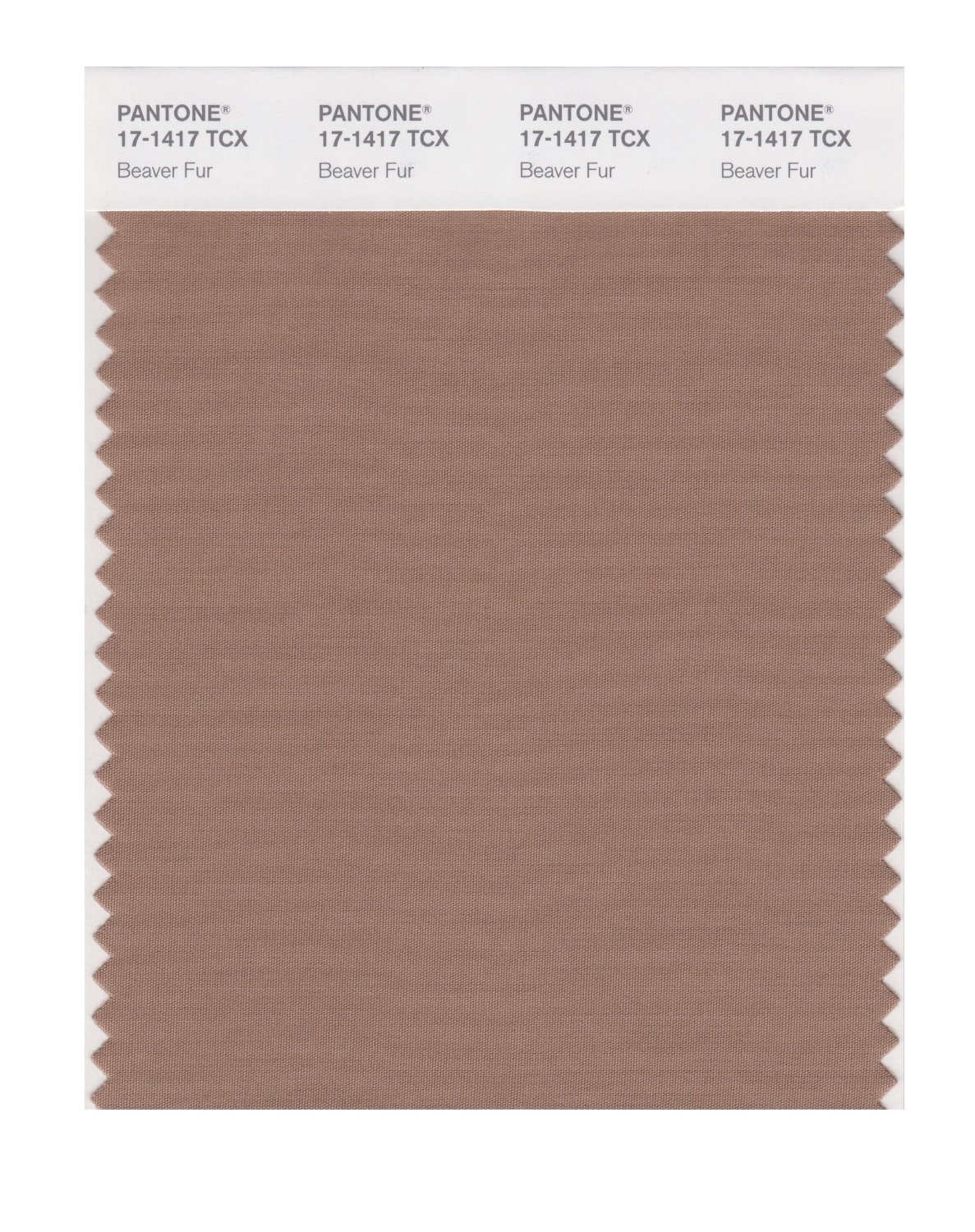 Pantone Cotton Swatch 17-1417 Beaver Fur