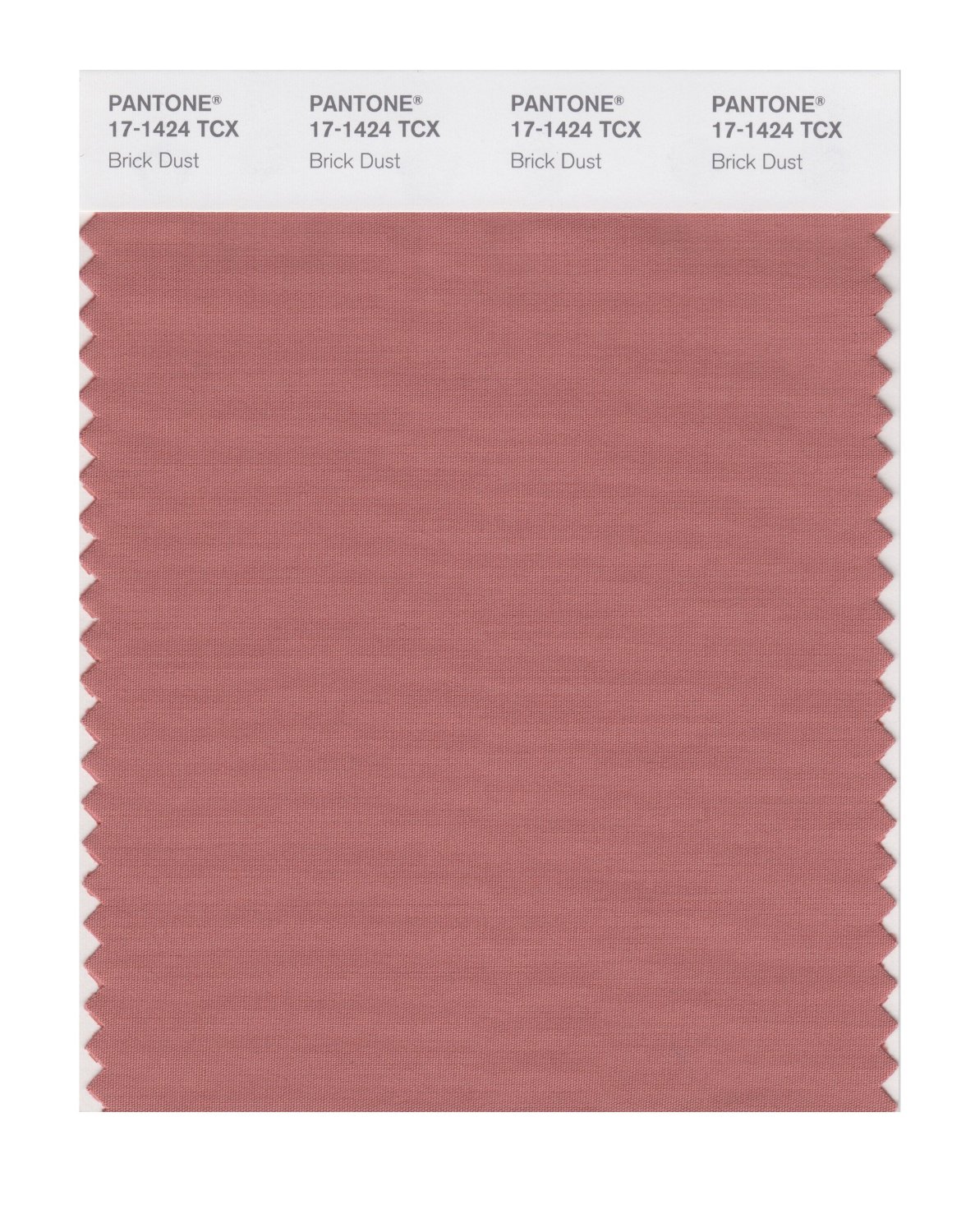 Pantone Cotton Swatch 17-1424 Brick Dust