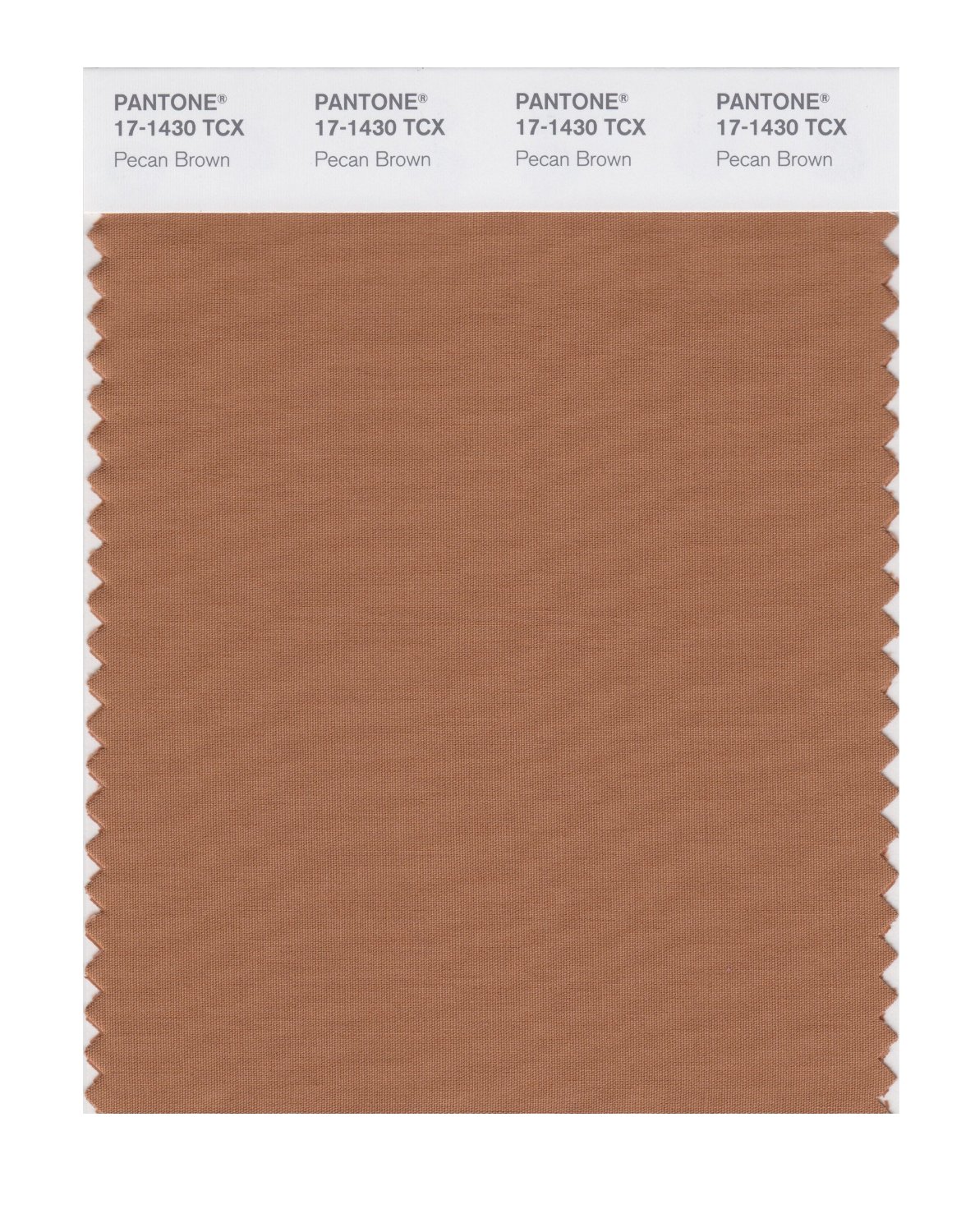 Pantone Cotton Swatch 17-1430 Pecan Brown