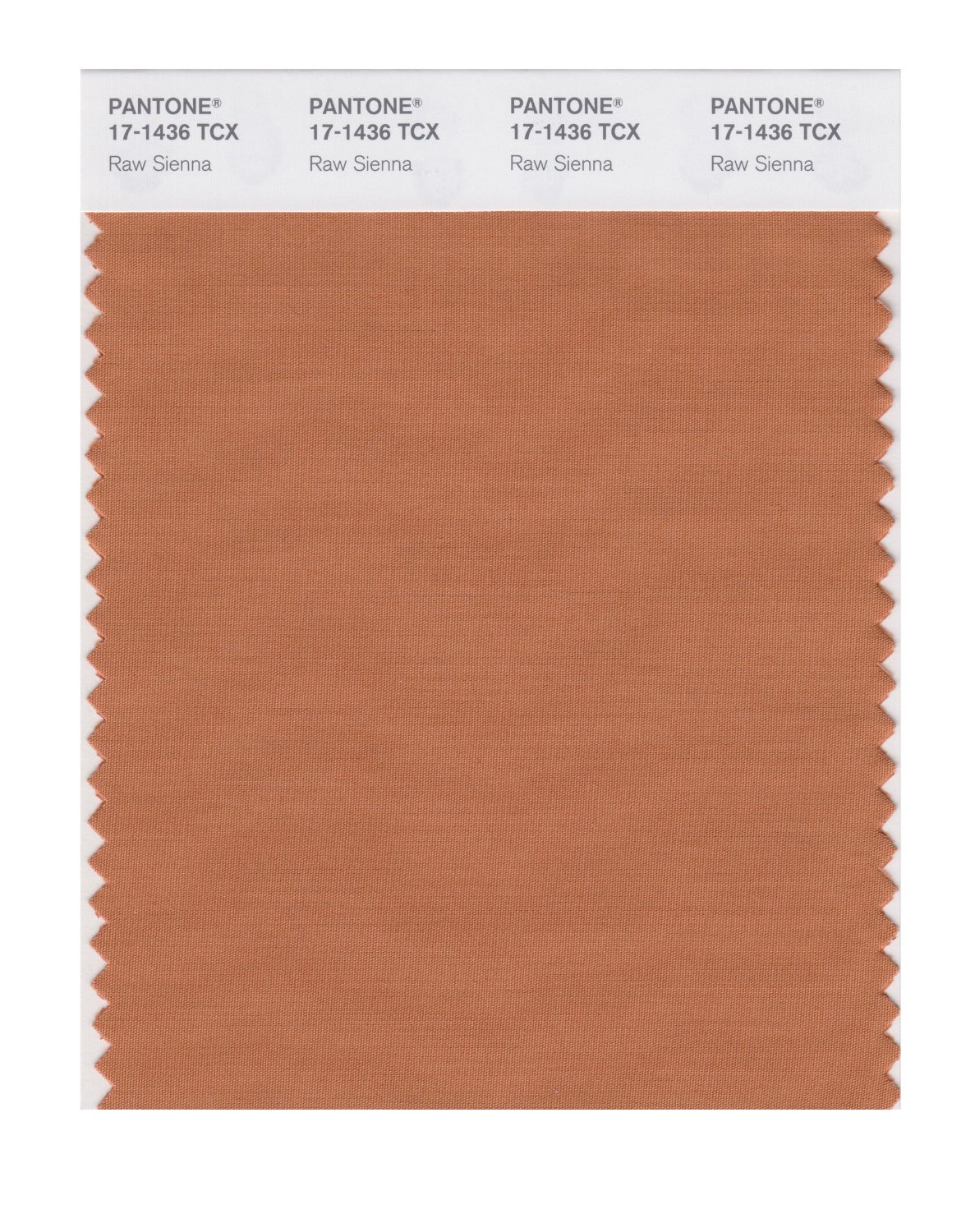 Pantone Cotton Swatch 17-1436 Raw Sienna