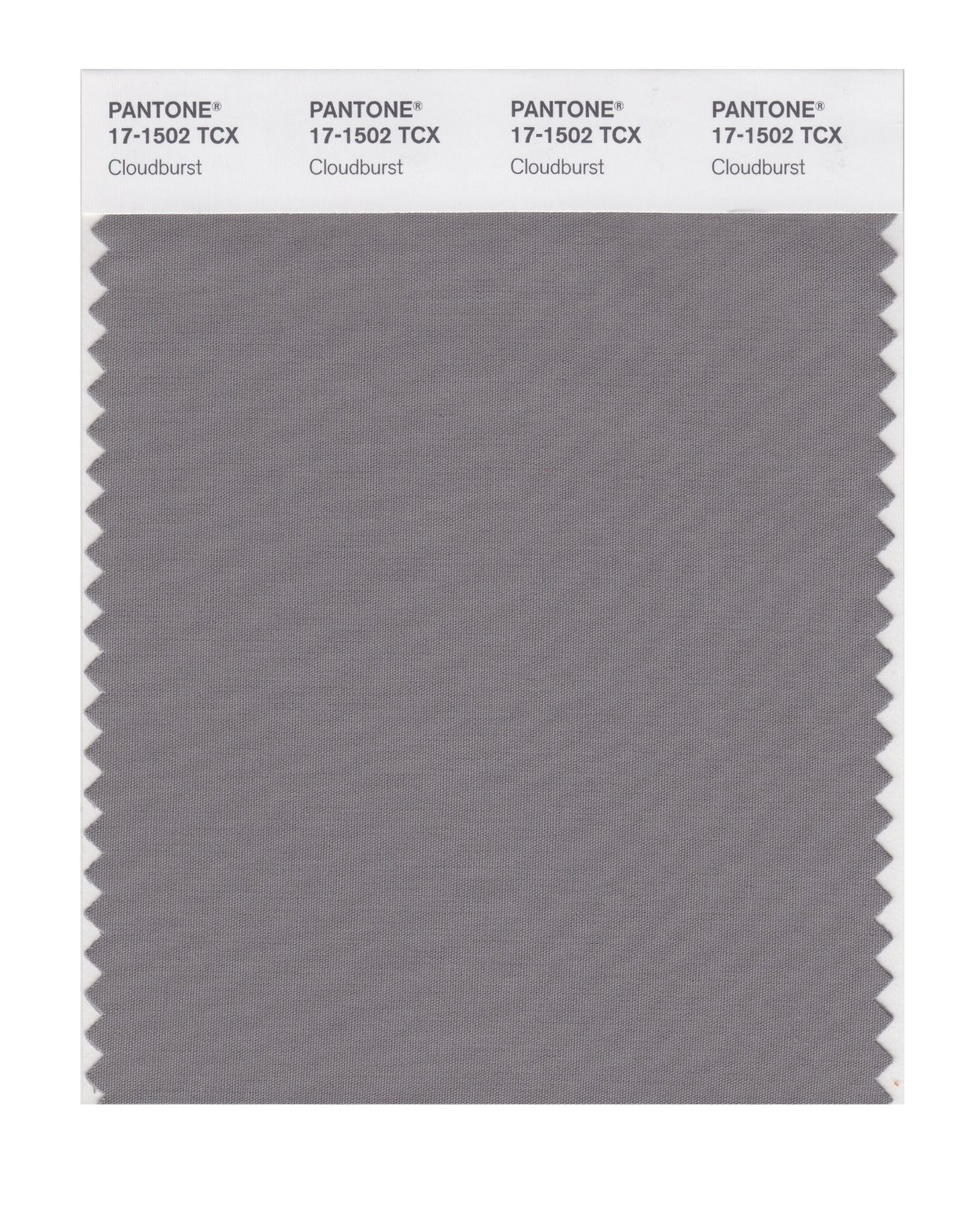 Pantone Cotton Swatch 17-1502 Cloud Burst