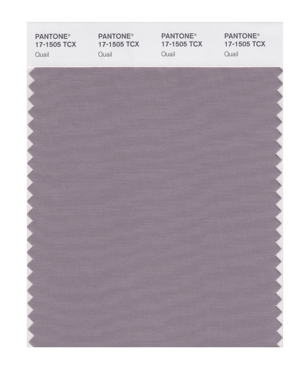 Pantone Cotton Swatch 17-1505 Quail