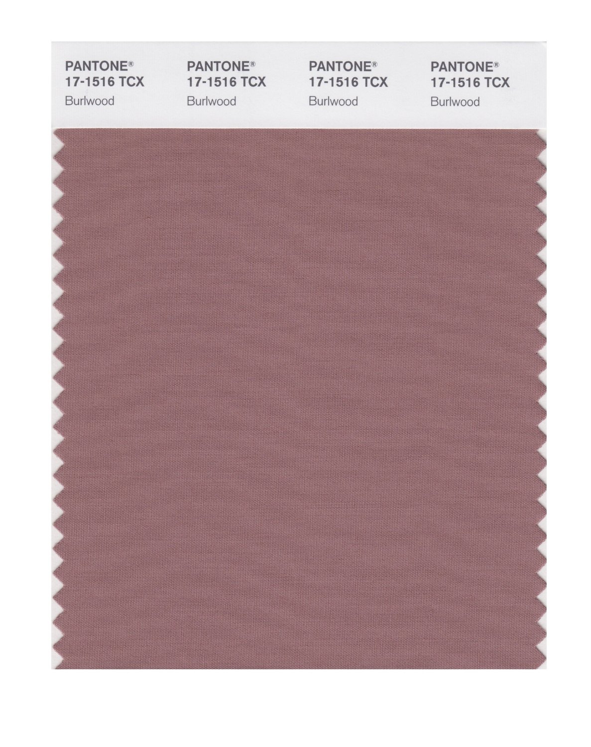 Pantone Cotton Swatch 17-1516 Burlwood