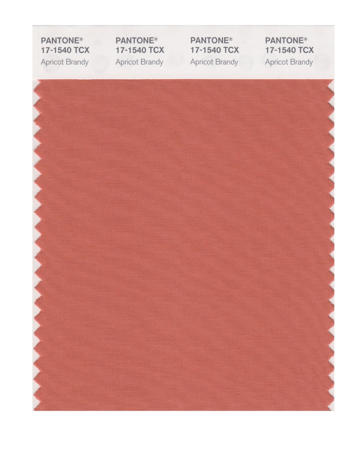 Pantone Cotton Swatch 17-1540 Apricot Brandy