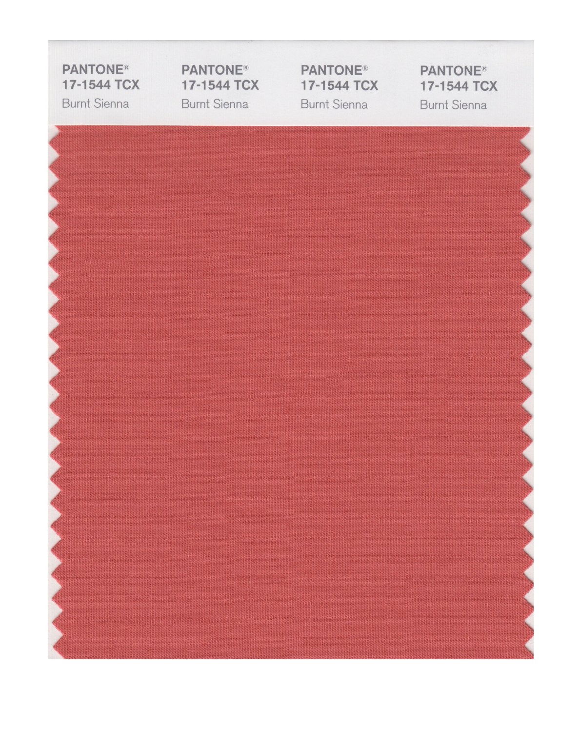 Pantone Cotton Swatch 17-1544 Burnt Sienna