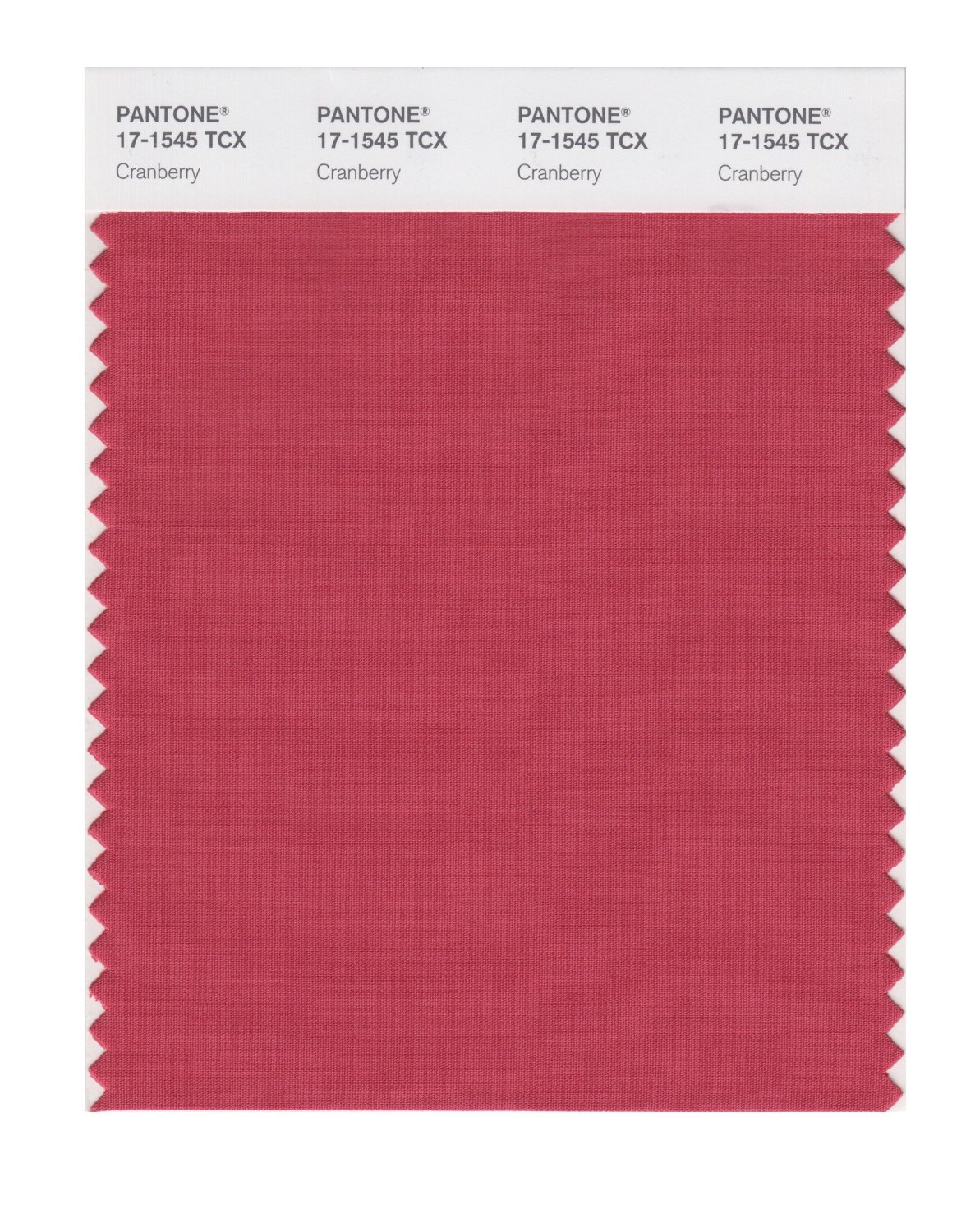 Pantone Cotton Swatch 17-1545 Cranberry