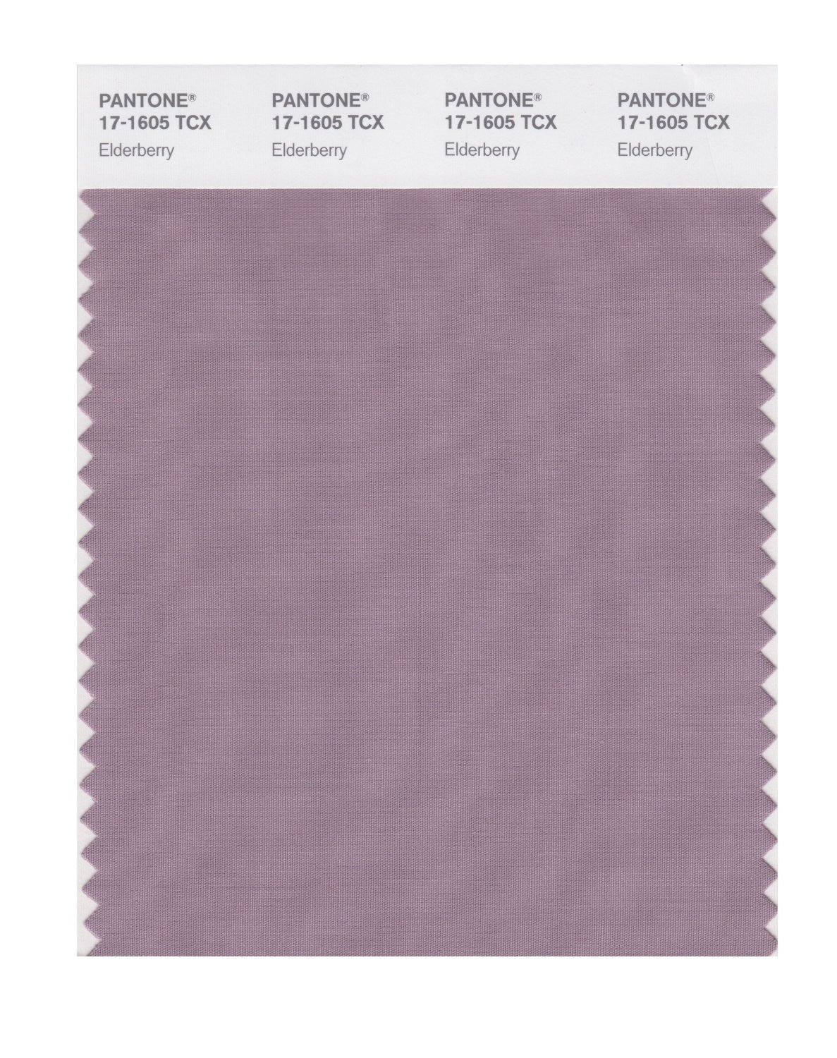 Pantone Cotton Swatch 17-1605 Elderberry