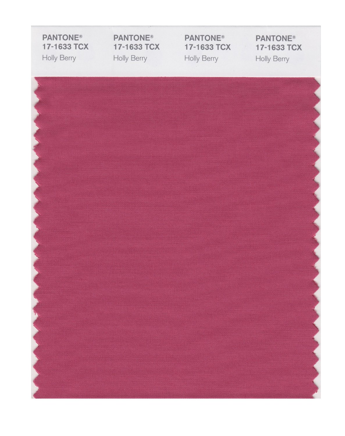 Pantone Cotton Swatch 17-1633 Holly Berry