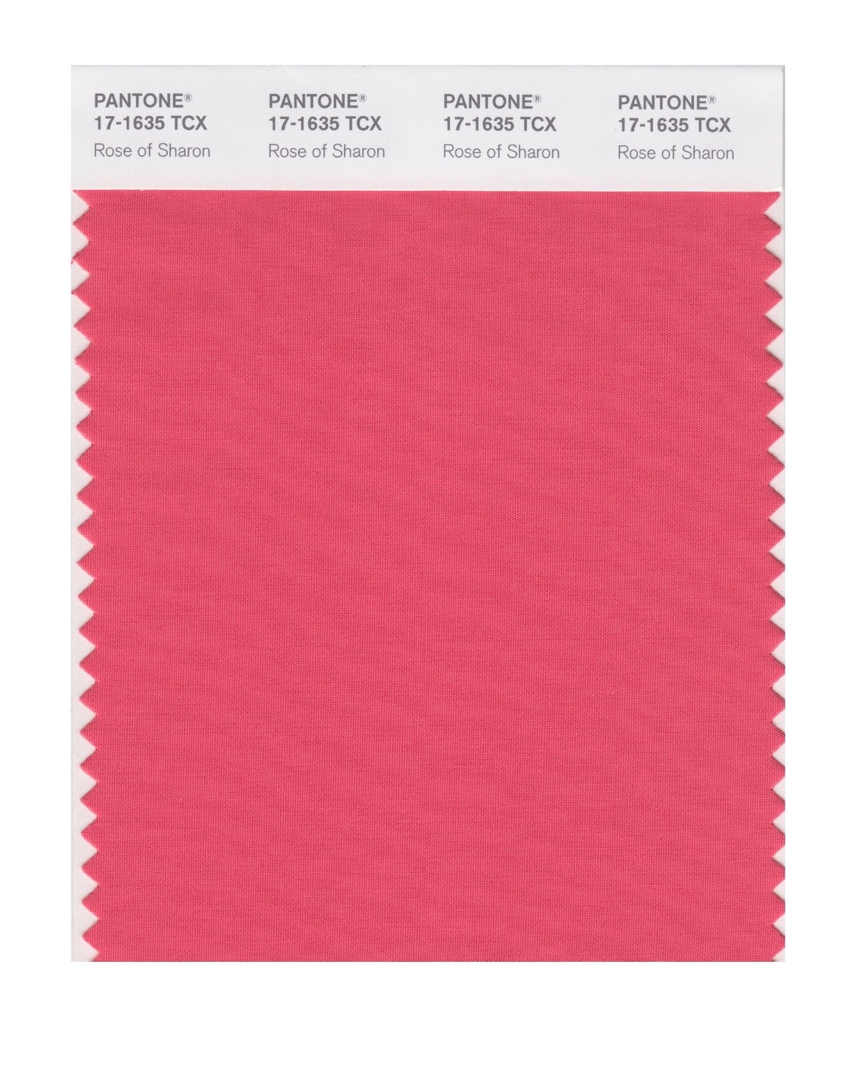 Pantone Cotton Swatch 17-1635 Rose Of Sharon