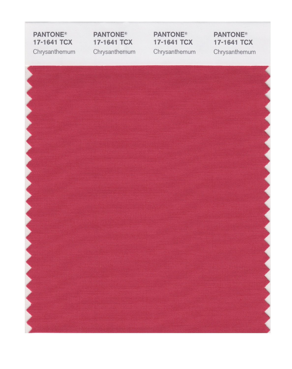 Pantone Cotton Swatch 17-1641 Chrysanthemum