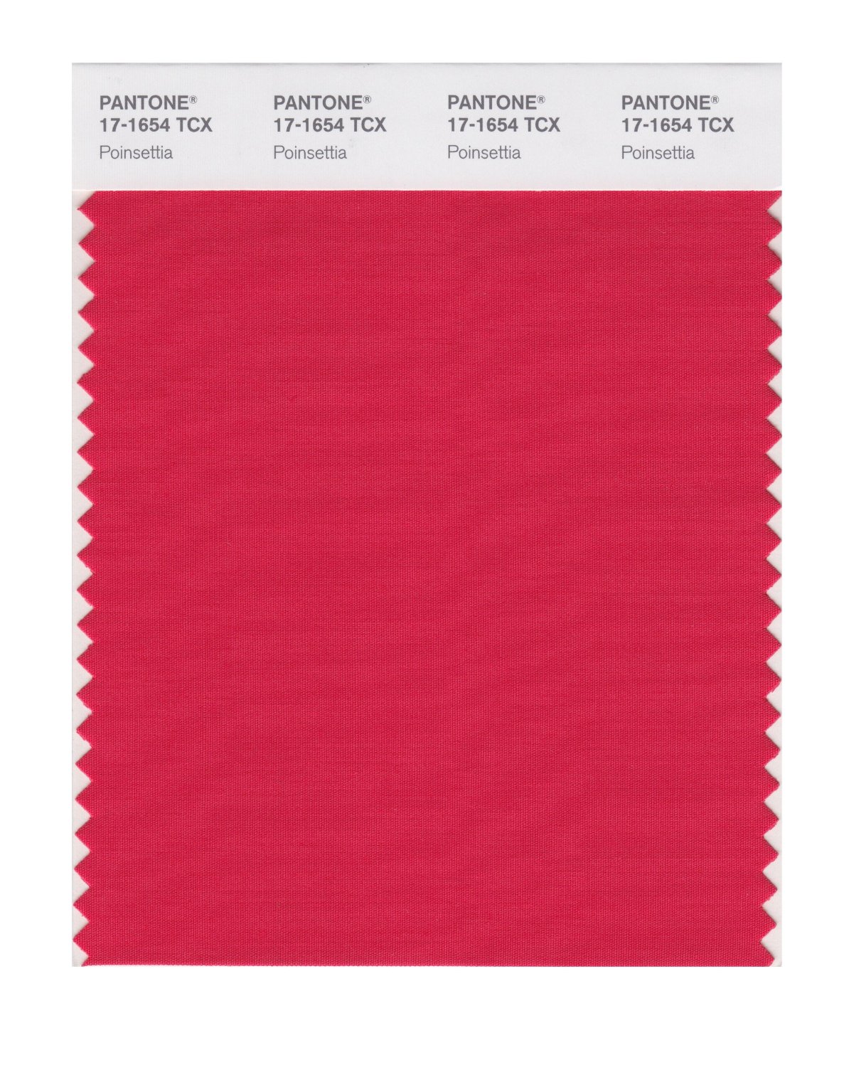 Pantone Cotton Swatch 17-1654 Poinsettia