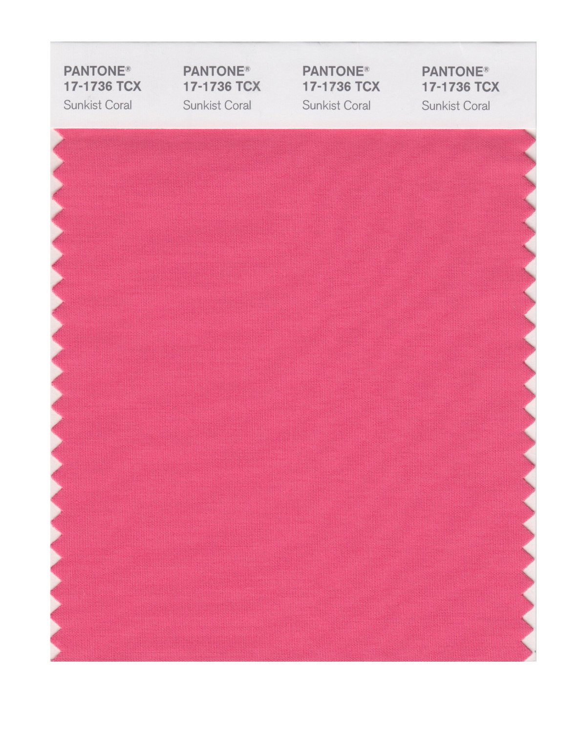 Pantone Cotton Swatch 17-1736 Sun Kissed Cora