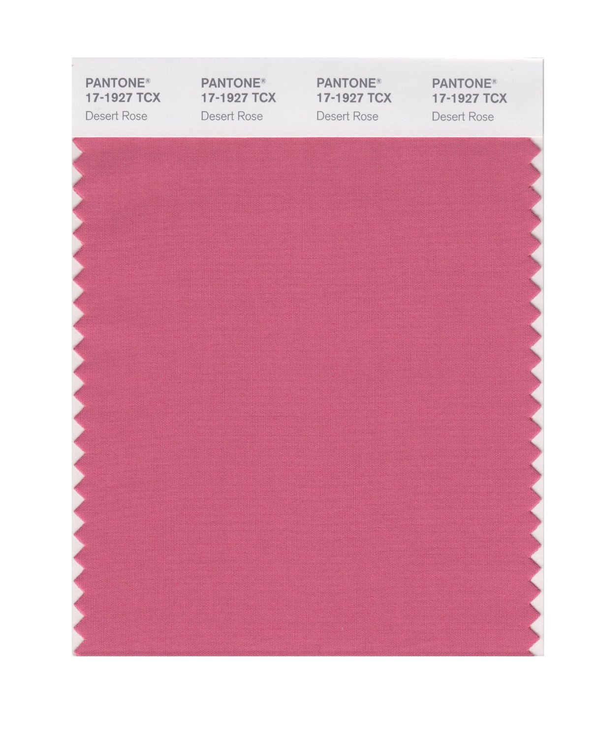 Pantone Cotton Swatch 17-1927 Desert Rose