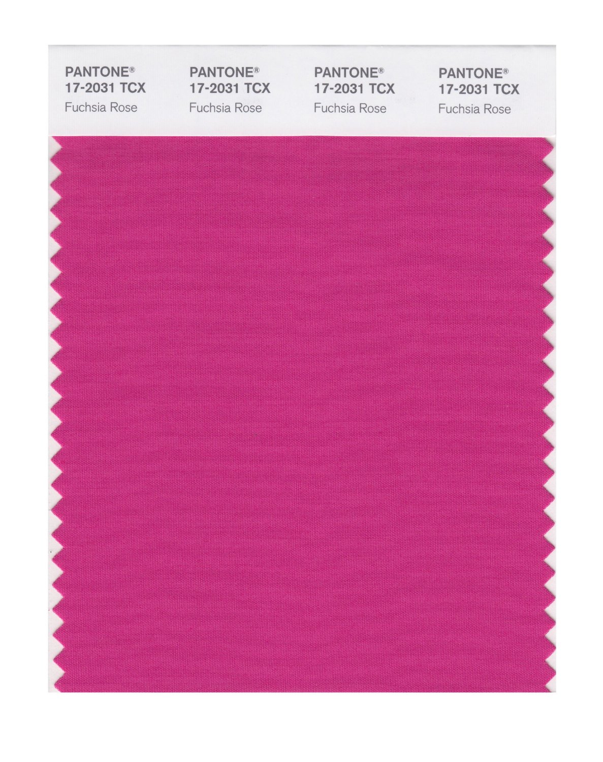 Pantone Cotton Swatch 17-2031 Fuchsia Rose