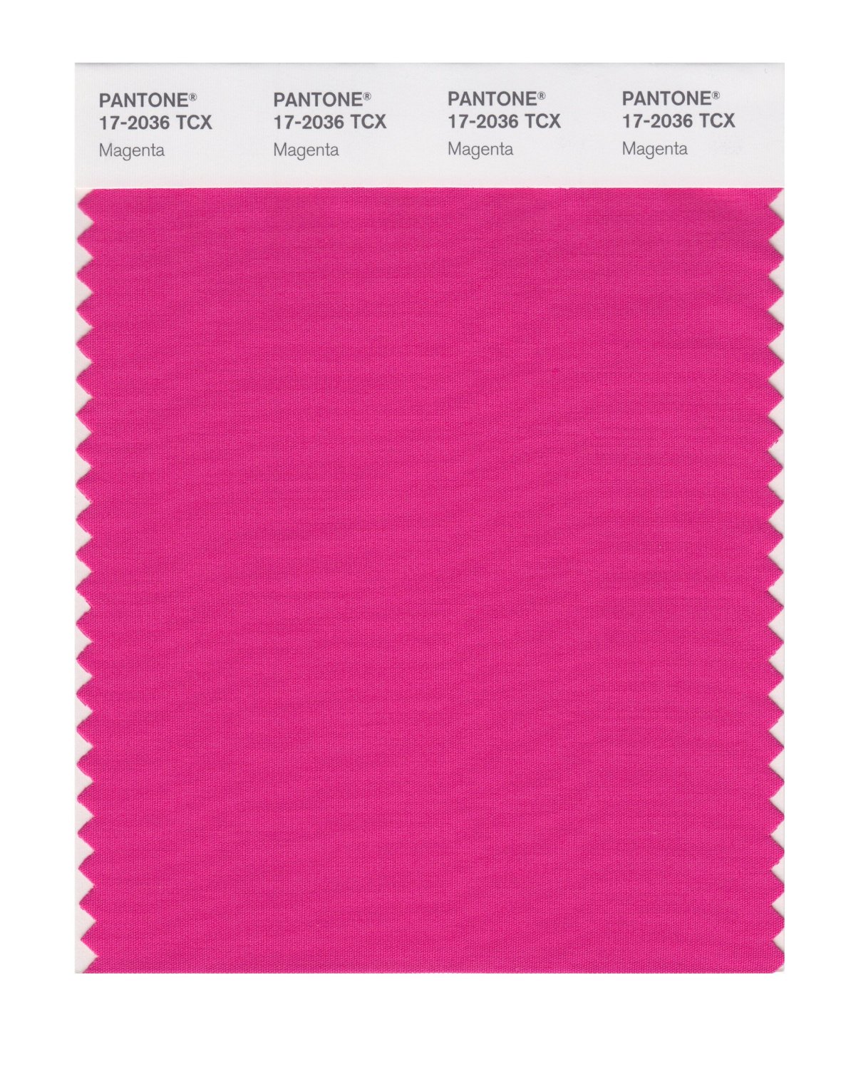 Pantone Cotton Swatch 17-2036 Magenta