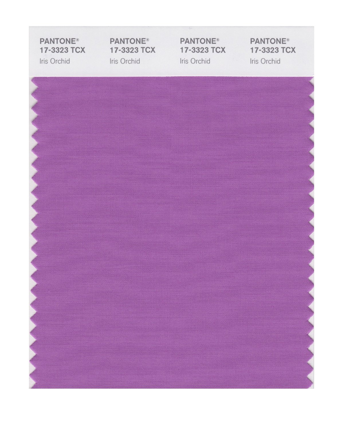 Pantone Cotton Swatch 17-3323 Iris Orchid