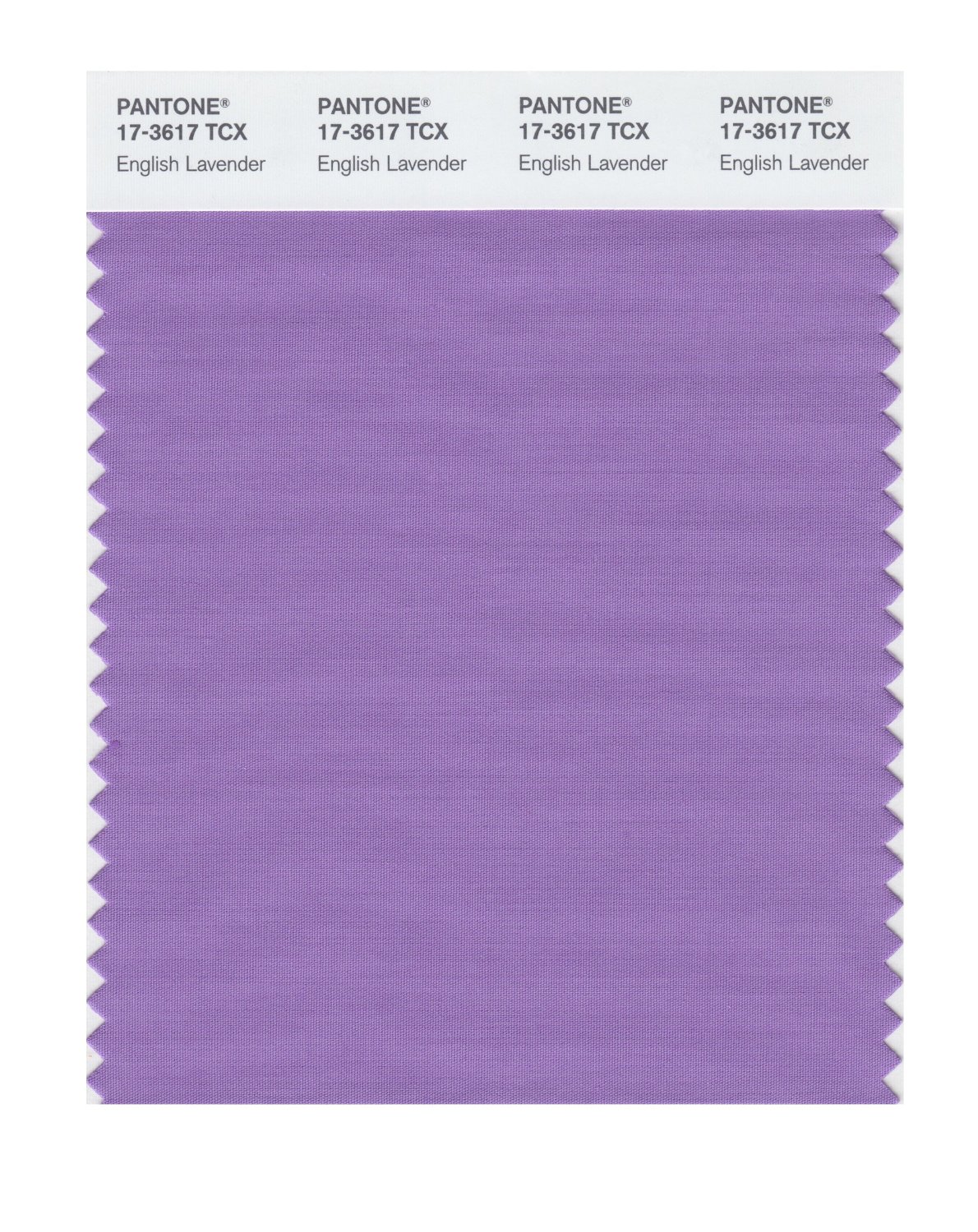 Pantone Cotton Swatch 17-3617 English Lavendr